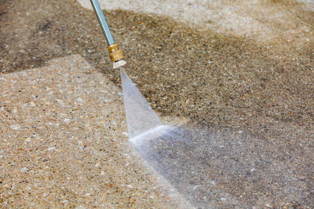 Animal Enclosure Cleaning in Uniondale, NY